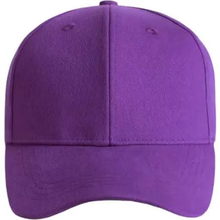 5 panel cap Purple